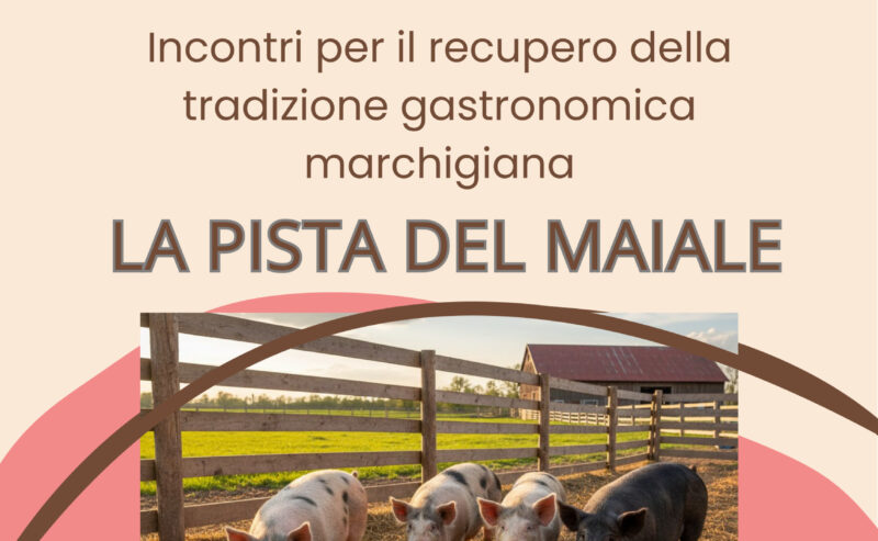 Sapori di Stagione: la pista del maiale